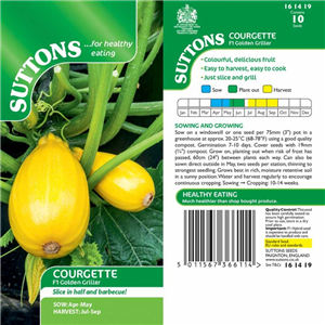 Courgette F1 Golden Griller